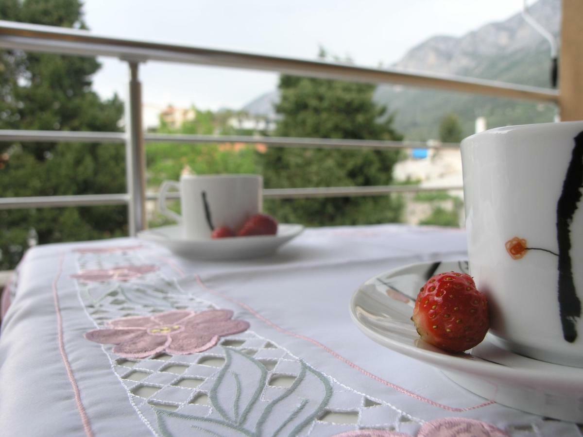 Musa Apartment Gradac  Exteriér fotografie